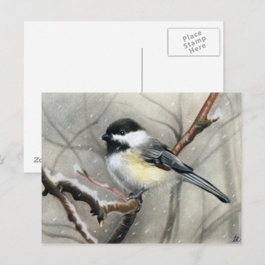 Wintervogelkichererbse Postkarte (Vorne/Hinten)