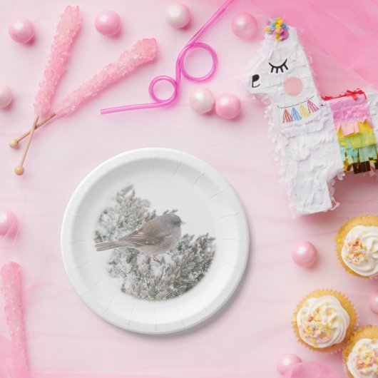 Wintervogelpapierplatte Pappteller (Party)