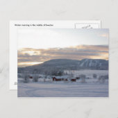 Wintervormittag #1 postkarte (Vorne/Hinten)