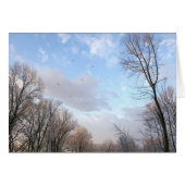 Wintervormittag I (Vorderseite (Horizontal))