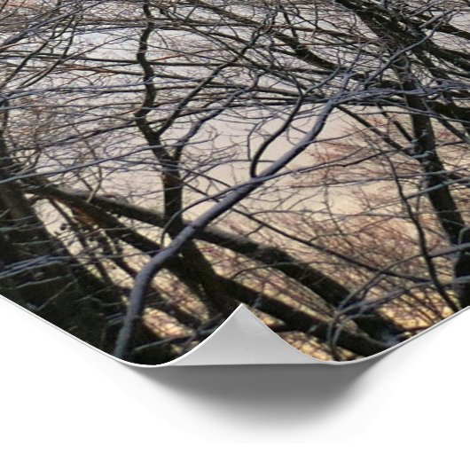 Wintervormittag I Poster (Ecke)