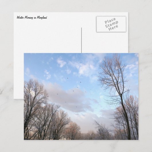Wintervormittag I Postkarte (Vorne/Hinten)
