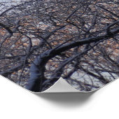 Wintervormittag II Naturlandschaft Poster (Ecke)