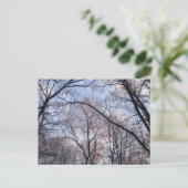 Wintervormittag II Naturlandschaft Postkarte (Stehend Vorderseite)
