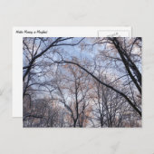 Wintervormittag II Naturlandschaft Postkarte (Vorne/Hinten)