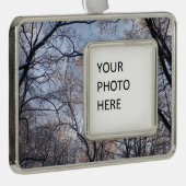 Wintervormittag II Naturlandschaft Rahmen-Ornament Silber (Rechts)