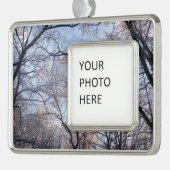Wintervormittag II Naturlandschaft Rahmen-Ornament Silber (Links)