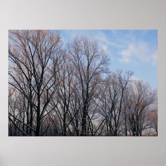Wintervormittag III Naturlandschaft Poster (Vorne)