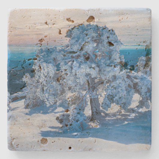 Wintervormittag im Feld Steinuntersetzer (Vorderseite)