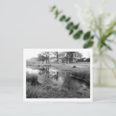 Wintervormittag: Strandshag Bay, Derwentwater Postkarte (Stehend Vorderseite)