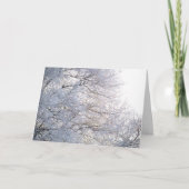 Wintervormittags schneebedeckte Zweige Natur Karte (Vorderseite)