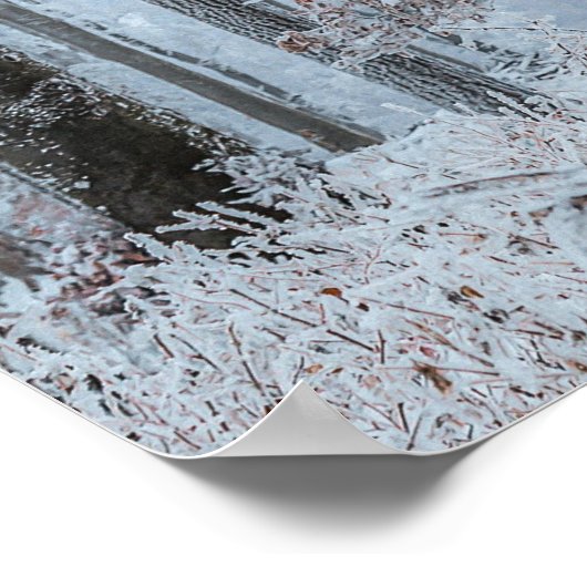 Winterwald #21 poster (Ecke)