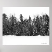 Winterwald bedeckt mit fallendem Schnee Poster (Vorne)