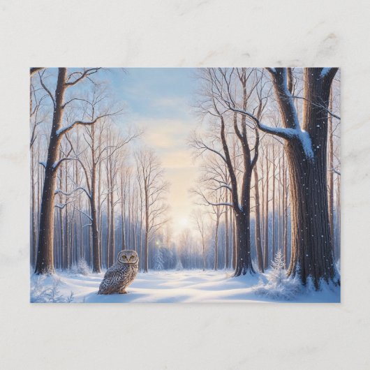 Winterwald, bedeckt mit Schnee und Eule Postkarte (Vorderseite)