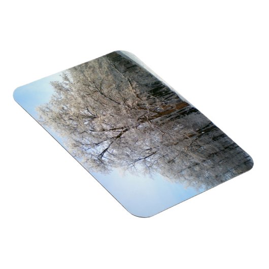 Winterwald Dezember 2012 Magnet (Rechte Seite)