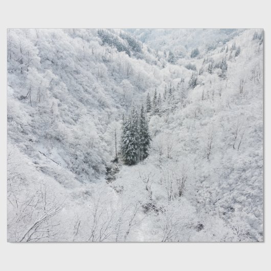 Winterwald Geschenkpapier (Flach)