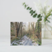 Winterwald in Arnside Postkarte (Stehend Vorderseite)