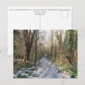 Winterwald in Arnside Postkarte (Vorne/Hinten)