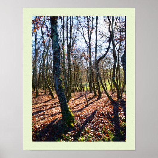 Winterwald in Frankreich Poster (Vorne)