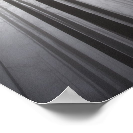 Winterwald in Nebel, New Jersey Poster (Ecke)