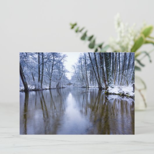 Winterwald mit schönem Stream (Stehend Vorderseite)