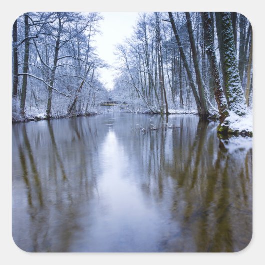 Winterwald mit schönem Stream Quadratischer Aufkleber (Vorderseite)