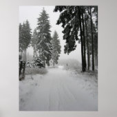 winterwald poster (Vorne)