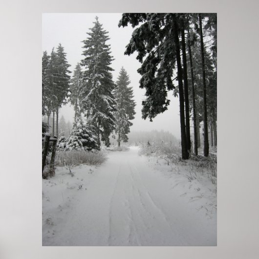 winterwald poster (Vorne)