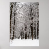Winterwald Poster (Vorne)