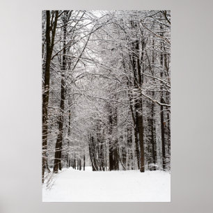 Winterwald Poster