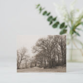 Winterwald Postkarte (Stehend Vorderseite)