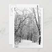 Winterwald Postkarte (Vorne/Hinten)