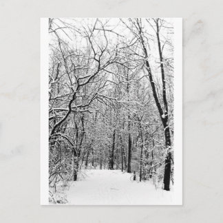 Winterwald Postkarte