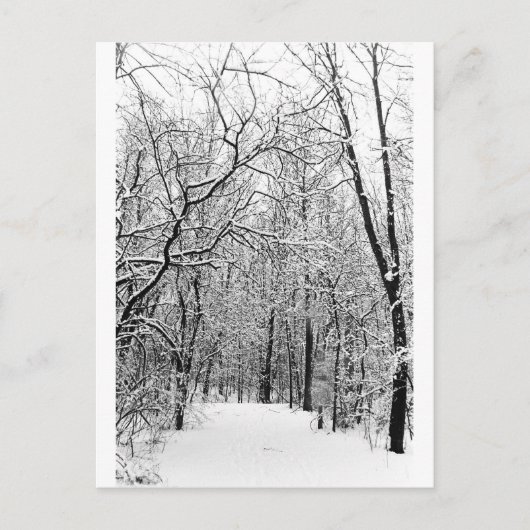 Winterwald Postkarte (Vorderseite)