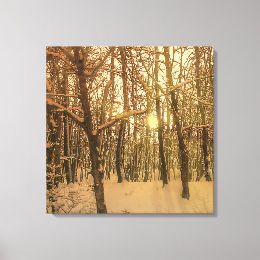 Winterwald Schnee und Licht Leinwanddruck (Vorderseite)