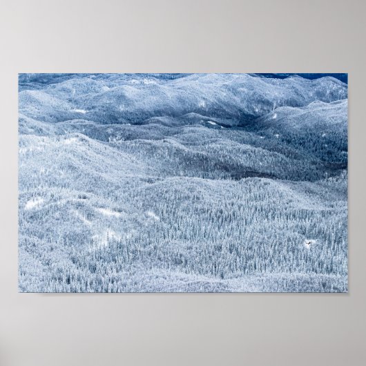 Winterwald unter Schnee Poster (Vorne)