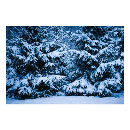 Winterwald Weihnachtsbaum Fotodruck (Vorne)