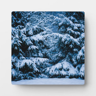 Winterwald Weihnachtsbaum Fotoplatte