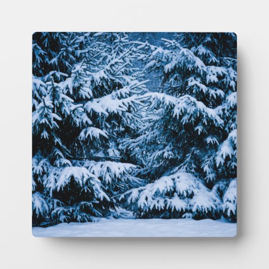 Winterwald Weihnachtsbaum Fotoplatte (Vorderseite)