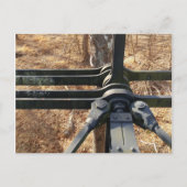 Winterwaldbrücke Postkarte (Vorderseite)