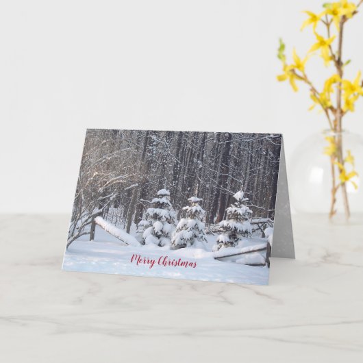 Winterwälder mit Kiefernholz Karte (Gelbe Blume)