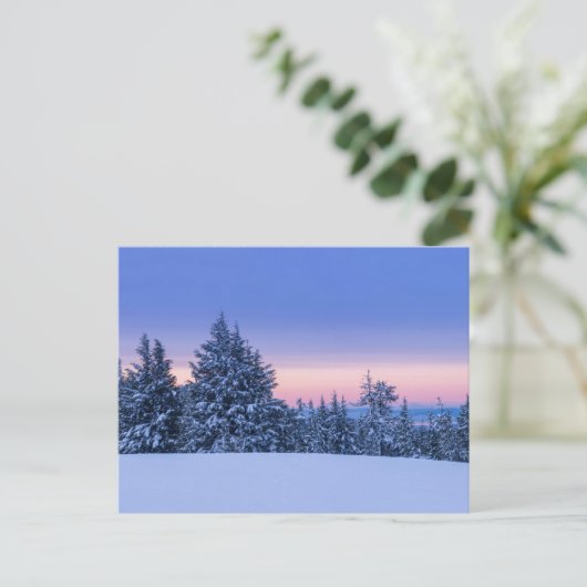 Winterwaldlandschaft bei Sonnenuntergang Postkarte (Stehend Vorderseite)