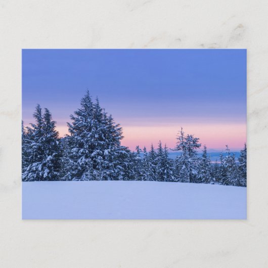 Winterwaldlandschaft bei Sonnenuntergang Postkarte (Vorderseite)