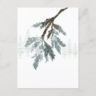 Winterwaldlandschaft in Snowy Blue Spruce Postkarte