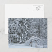 Winterwaldschnee bedeckt Landschaftsfotografie Postkarte (Vorne/Hinten)