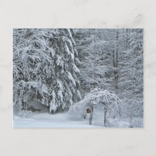 Winterwaldschnee bedeckt Landschaftsfotografie Postkarte