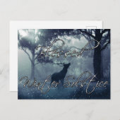 Winterwaldstag Selige Wintersonne Postkarte (Vorne/Hinten)