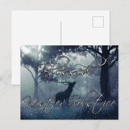 Winterwaldstag Selige Wintersonne Postkarte (Vorne/Hinten)