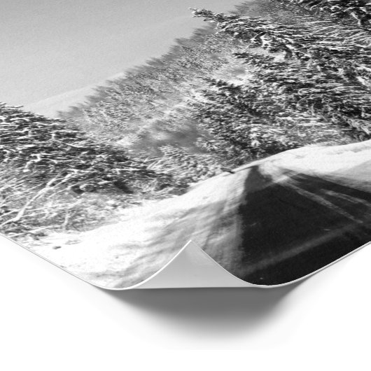 Winterwaldstraße Poster (Ecke)