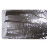Winterwaldweg Magnet (Horizontal)